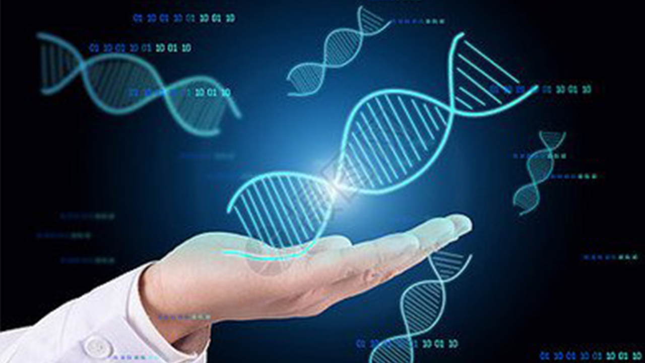 兩萬年前墜飾復(fù)原出古人類DNA