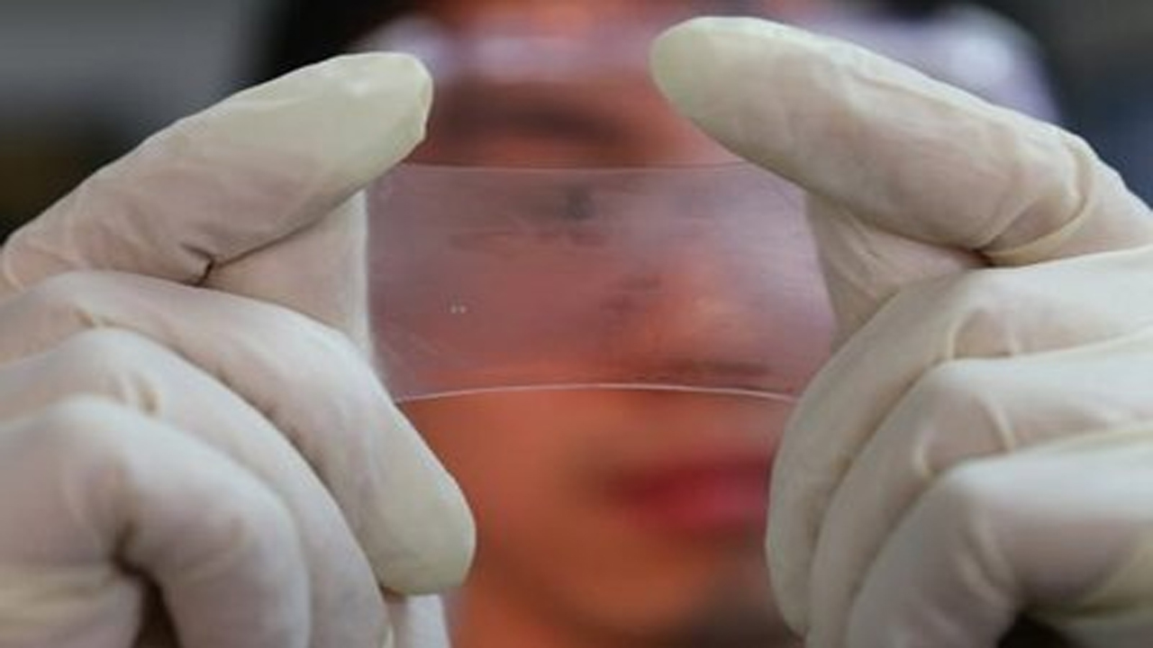 一種水凝膠可再生子宮內膜 有望治療不孕不育癥